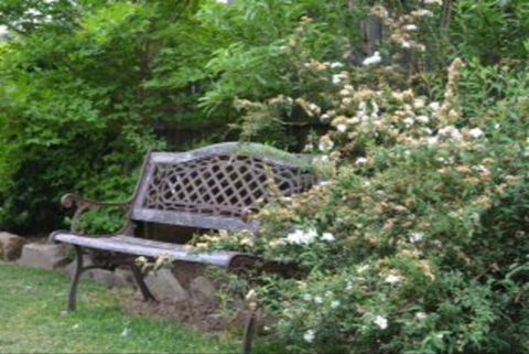 Garden Cottage B And B - Accommodation Mermaid Beach 4