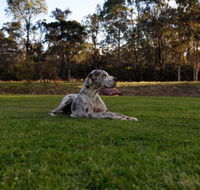 Hunter Valley Retreat - Accommodation Mermaid Beach