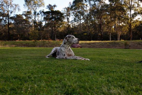 Hunter Valley Retreat - Accommodation Mermaid Beach 0