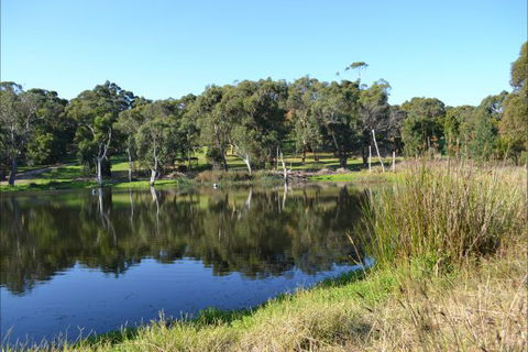 Iluka Retreat And Camp - Accommodation Mermaid Beach 2