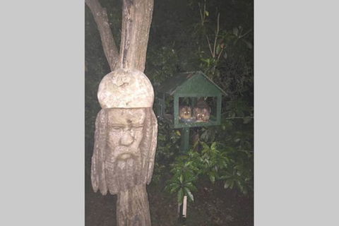 Kookaburra Retreat - Accommodation Mermaid Beach 9