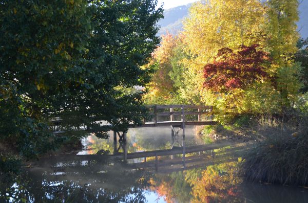 Nug Nug VIC Accommodation Mermaid Beach
