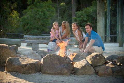 Paradise Country Farmstay - Accommodation Mermaid Beach 1