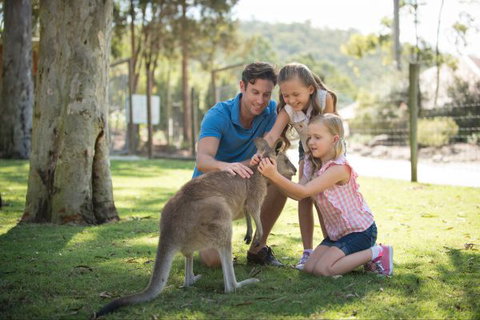 Paradise Country Farmstay - Accommodation Mermaid Beach 7