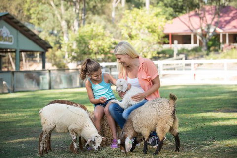 Paradise Country Farmstay - Accommodation Mermaid Beach 9