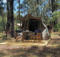 Tall Trees Camping on the Great Ocean Road - Accommodation Mermaid Beach