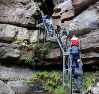 Takarakka Bush Resort Carnarvon Gorge - Accommodation Mermaid Beach