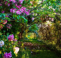 The Pear Walk - Accommodation Mermaid Beach