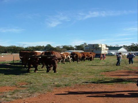 Trundle Showground - Accommodation Mermaid Beach 1