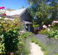 Valley View Cottage - Accommodation Mermaid Beach