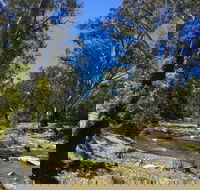 Highfield Farm and Woodland Bush Campsites - Accommodation Mermaid Beach