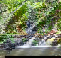 O'Reilly's Rainforest Retreat - Accommodation Mermaid Beach