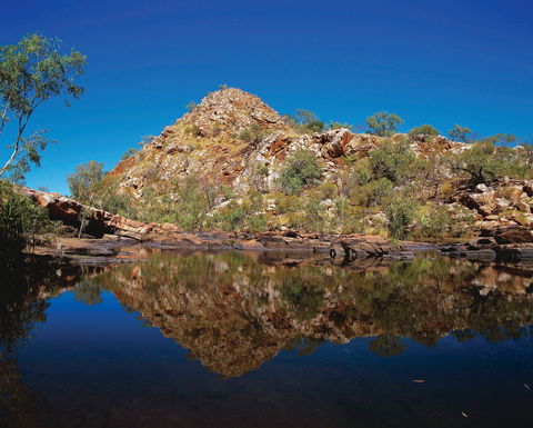 Silent Grove Camp At Wunaamin Miliwundi Ranges Conservation Park - Accommodation Mermaid Beach 0