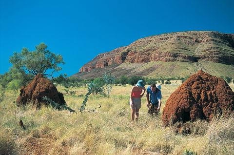 Silent Grove Camp At Wunaamin Miliwundi Ranges Conservation Park - Accommodation Mermaid Beach 3