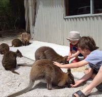 The Patriarch Wildlife Sanctuary Camping Ground - Accommodation Mermaid Beach