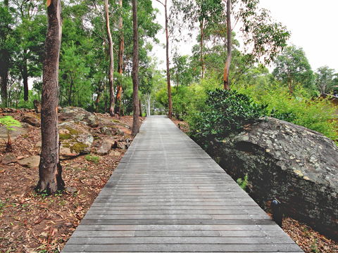 Wild Edge Retreat - Accommodation Mermaid Beach 2