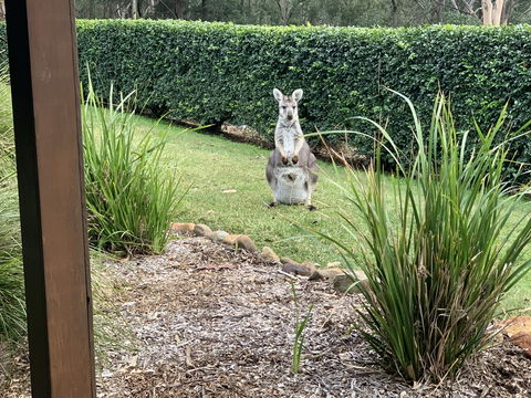 Wild Edge Retreat - Accommodation Mermaid Beach 9