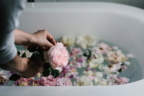 Acre Of Roses - Accommodation Mermaid Beach 5