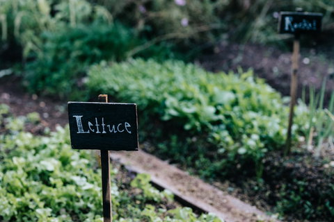 Acre Of Roses - Accommodation Mermaid Beach 9