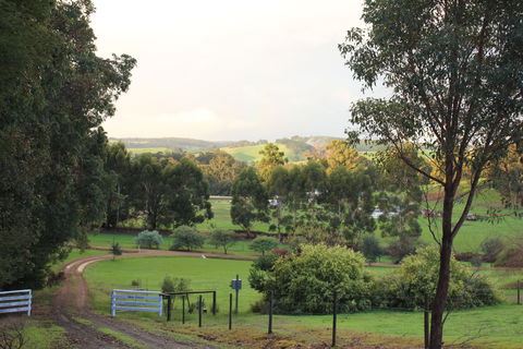 Blue House Bed And Breakfast - Accommodation Mermaid Beach 2