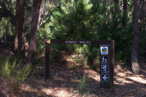 Blue House Bed And Breakfast - Accommodation Mermaid Beach 8