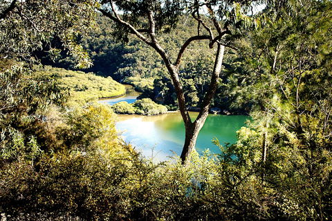 Calabash Bay Lodge - Accommodation Mermaid Beach 5