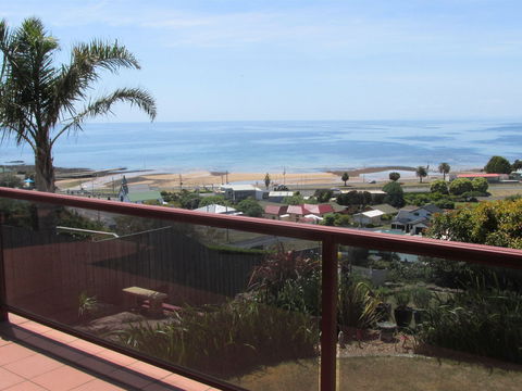 High On Penguin - Accommodation Mermaid Beach 1