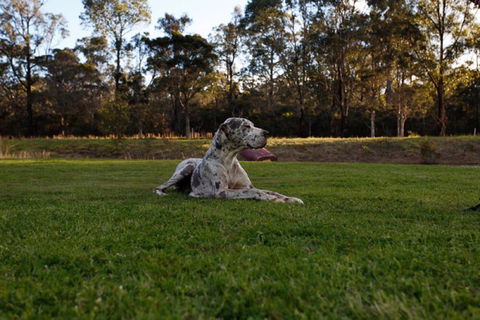 Hunter Valley Retreat - Accommodation Mermaid Beach 0