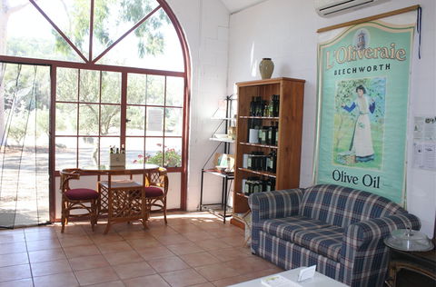 L'Oliveraie - Accommodation Mermaid Beach 8