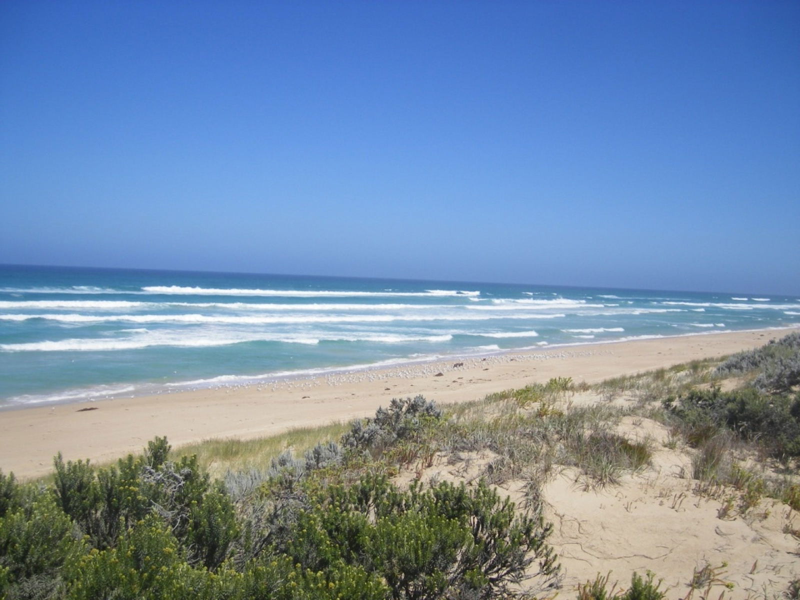 Canunda SA Accommodation Mermaid Beach