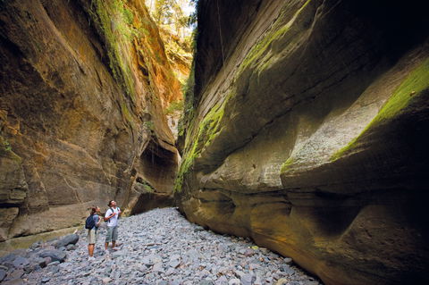 Carnarvon National Park Camping - Accommodation Mermaid Beach 0
