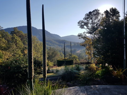 Cougal Park Bed And Breakfast - Accommodation Mermaid Beach 1