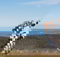 Cowell RV Park - Accommodation Mermaid Beach