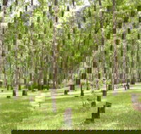 Nymboida River campground - Accommodation Mermaid Beach