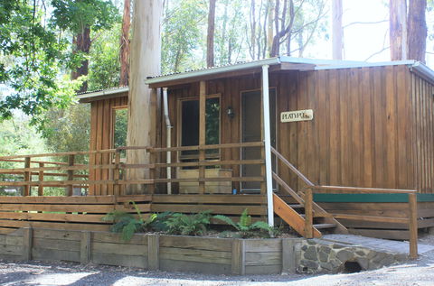 Tarra Valley Caravan Park - Accommodation Mermaid Beach 1