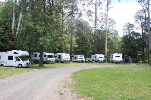 Tarra Valley Caravan Park - Accommodation Mermaid Beach 2