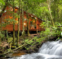 The Mouses House - Rainforest Retreat - Accommodation Mermaid Beach