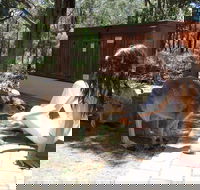 Yelverton Brook Eco Spa Retreat and Conservation Sanctuary - Accommodation Mermaid Beach