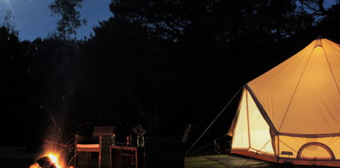 Zeehan Bush Camp - Accommodation Mermaid Beach 1