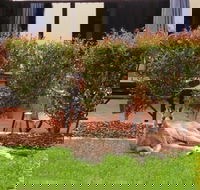 Alpha Canberra Hotel - Accommodation Mermaid Beach