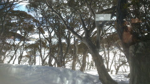 Barina Milpara Lodge - Accommodation Mermaid Beach 1
