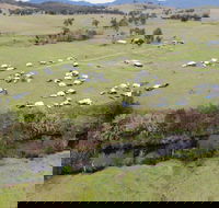 Camp on Allyn - Accommodation Mermaid Beach