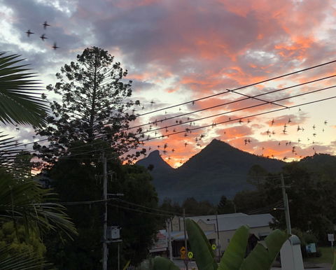 Chesson Lodge- In The Heart Of Uki - Accommodation Mermaid Beach 0