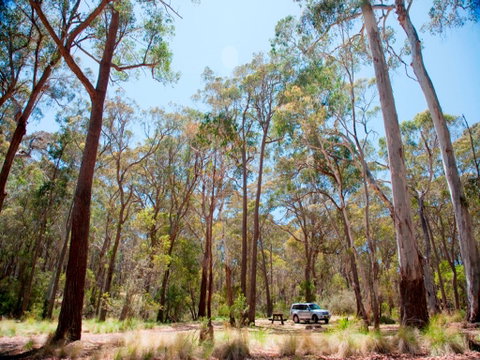 Coolah Tops National Park Camping - Accommodation Mermaid Beach 0
