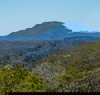 Finchley campground - Accommodation Mermaid Beach