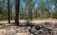 Finchley Campground - thumb 2