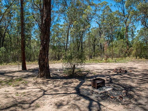 Finchley Campground - Accommodation Mermaid Beach 2