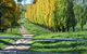 Godolphin Country Accommodation - thumb 1