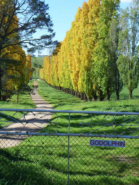 Godolphin Country Accommodation - Accommodation Mermaid Beach 1