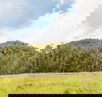 Mountain Arm campground - Accommodation Mermaid Beach